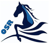 One Stop Racing Discount Promo Codes